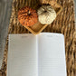 JOURNAL